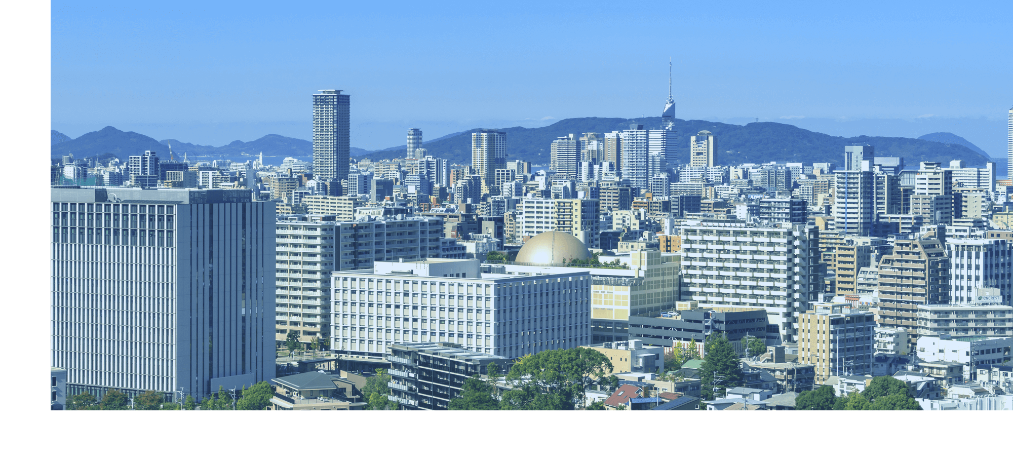 片付けのプロにお任せください。